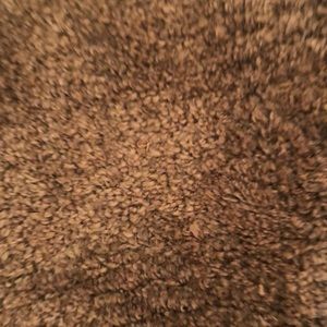 Meet your Posher, Jordyn